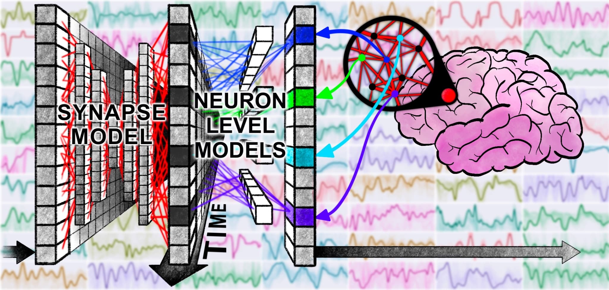 Continuous Thought Machines: What If Time Is the Missing Piece in AI?